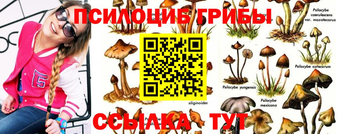 Галлюциногенные грибы Cubensis  Вход с VPN  Гурьевск 