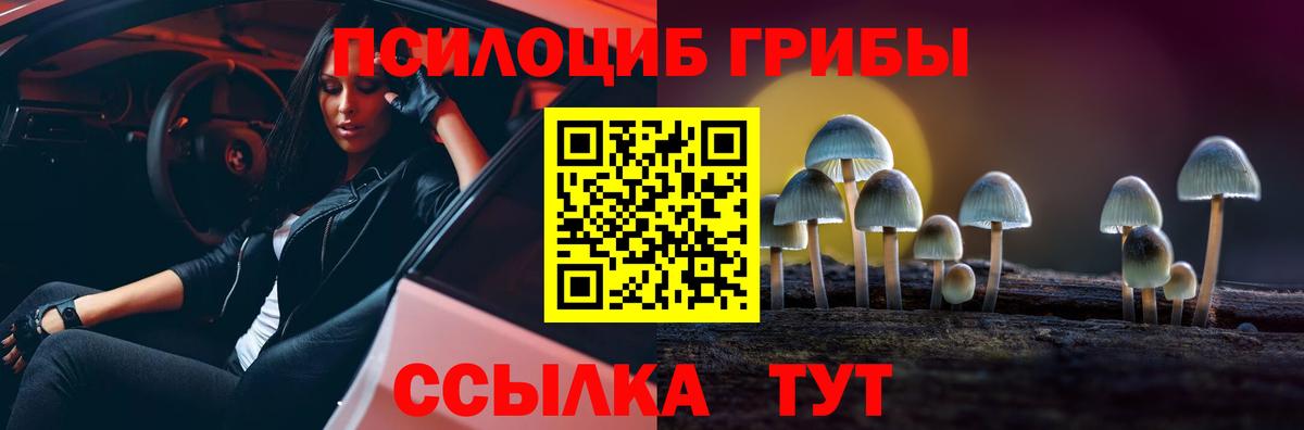 Галлюциногенные грибы MAGIC MUSHROOMS Гурьевск